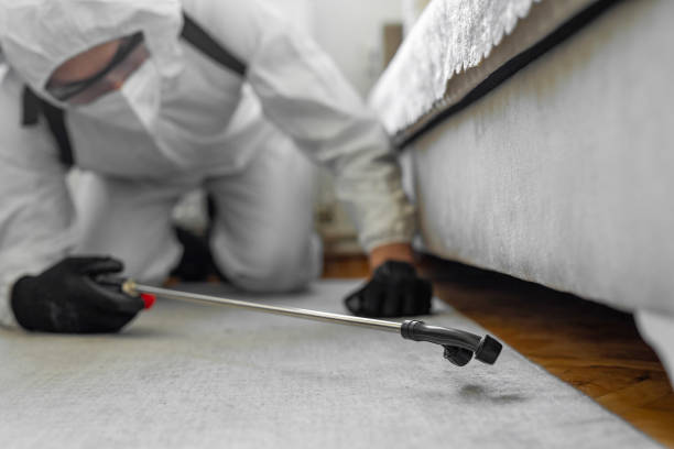 Professional Bed Bug Control technician working in Greensboro, MD