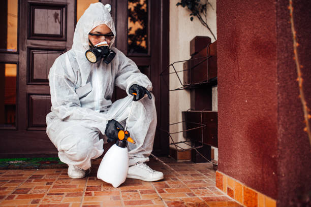 Reliable Bed Bug Control contractor in Greensboro, MD by Nex Pest Control