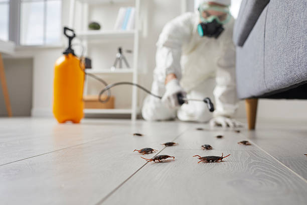 Trusted Fumigation Services service in Greensboro, MD - Nex Pest Control